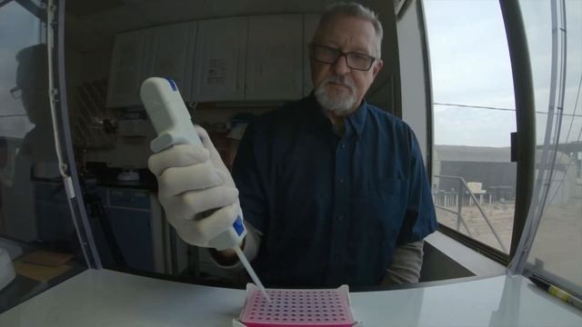 Tree Diseases and Prevention смотреть онлайн