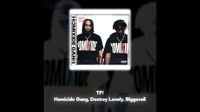 Homixide Gang, Destroy Lonely, Biggaveli - TF! (Акапелла / Acapella)