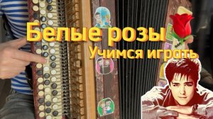 Учимся играть на баяне  "БЕЛЫЕ РОЗЫ" Ласковый май