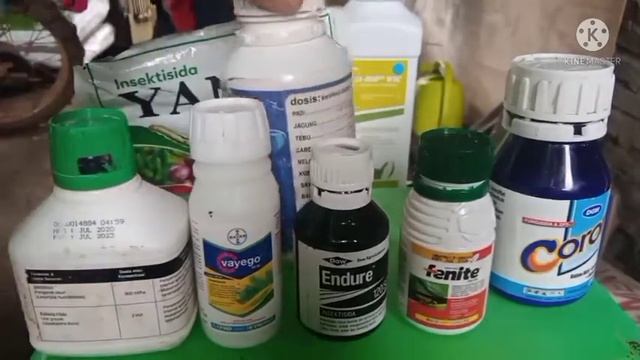 TERBUKTI..!!Obat ulat paling ampuh basmi ulat gantung - budidaya kubis смотреть онлайн