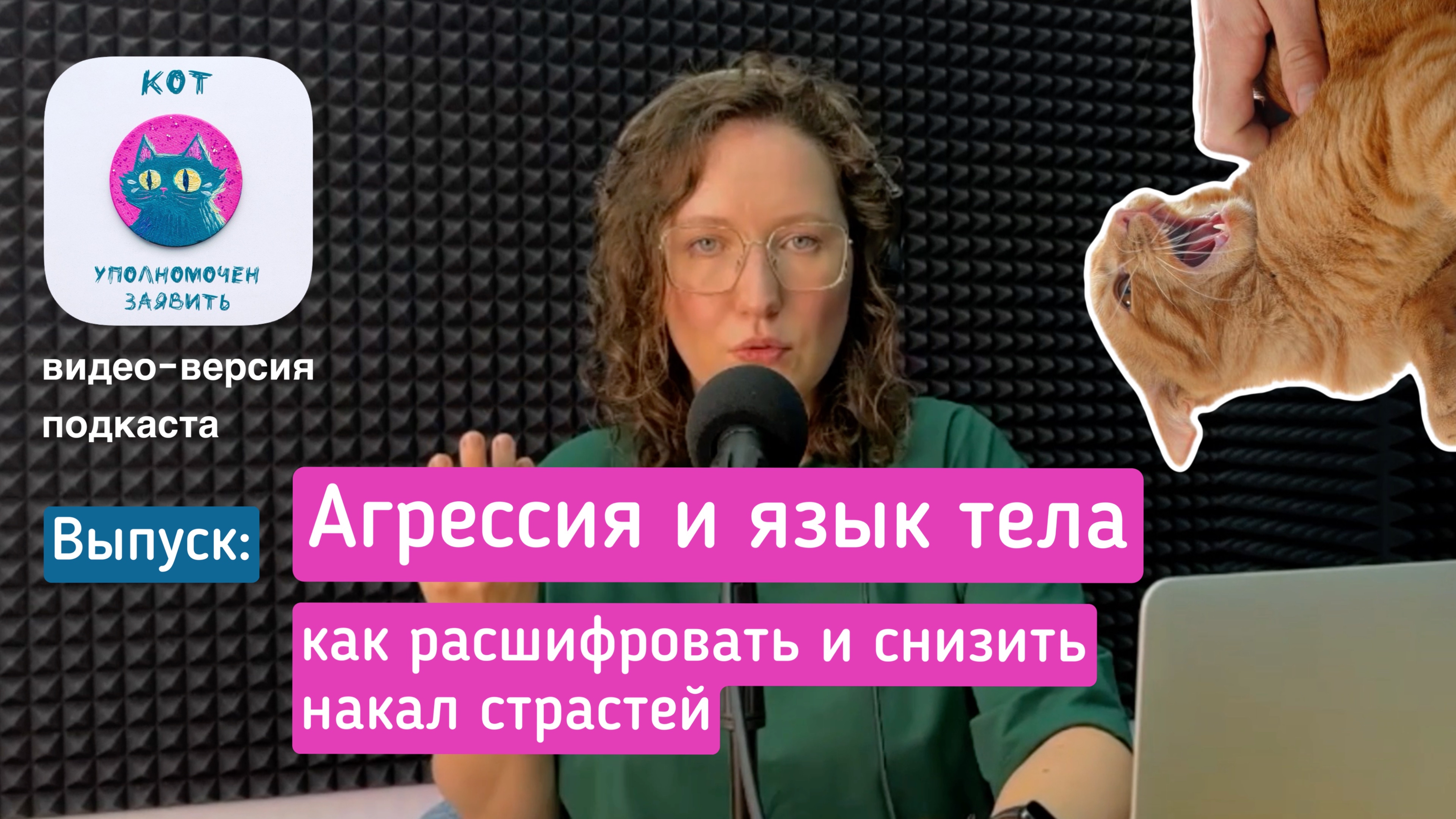 Агрессия и язык тела. Как расшифровать и снизить накал страстей смотреть онлайн