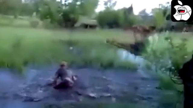 НОВЫЕ ПРИКОЛЫ 2017, ЛУЧШИЕ РУССКИЕ ПРИКОЛЫ, СМЕШНЫЕ ВИДЕО 2017 смотреть онлайн
