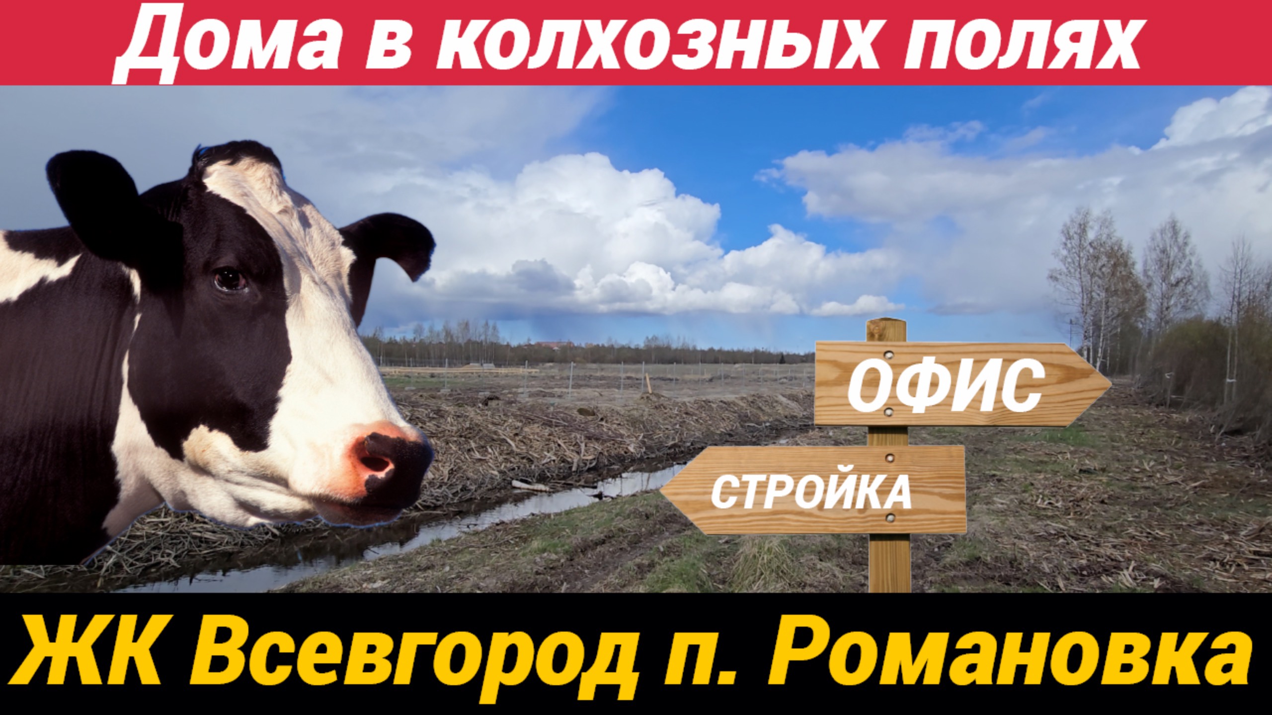 ЖК ВСЕВГОРОД | Современная жизнь у природы | Посёлок Романовка, Всеволожский район смотреть онлайн