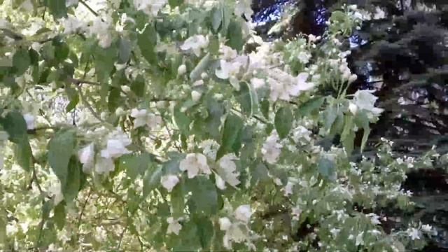 Весна 2025 - Некуда деться...