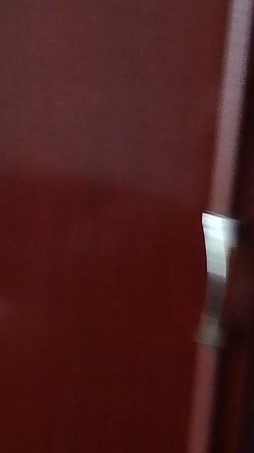 Титаник на Фонтанке  фильм 2025 медведь гризли