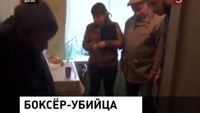 Осетинский чемпион смотреть онлайн