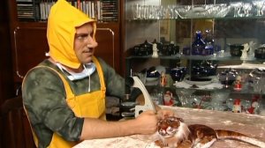 "Осторожно, Задов!" 25 серия: "Подкидыш" (HD)