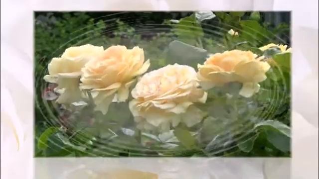 С Юбилеем, Мама! смотреть онлайн