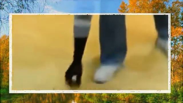 Бесплатно приколы видео 3 смотреть онлайн
