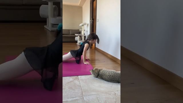 Упражнения за загряване