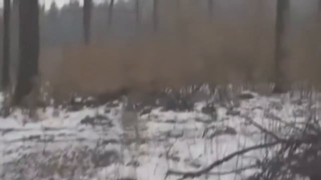 Самые жуткие привидения смотреть онлайн