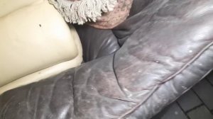 Шпермюль продолжается🇩🇪Германия