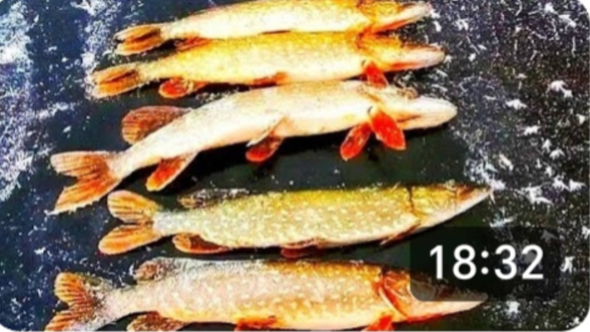 Бешеный клев Щуки. Вот это ДА! Такой Рыбалки мы не ожидали! Удачное открытие сезона. смотреть онлайн