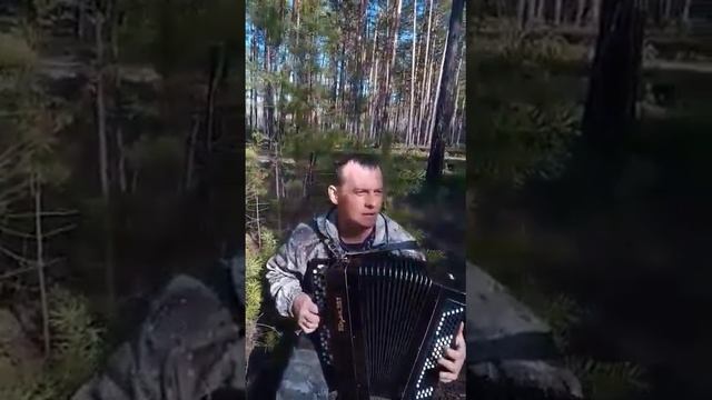 Песня охотника 2020. Охота на гуся смотреть онлайн