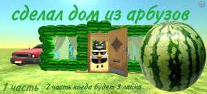 Построил дом из арбузов в чикен гане