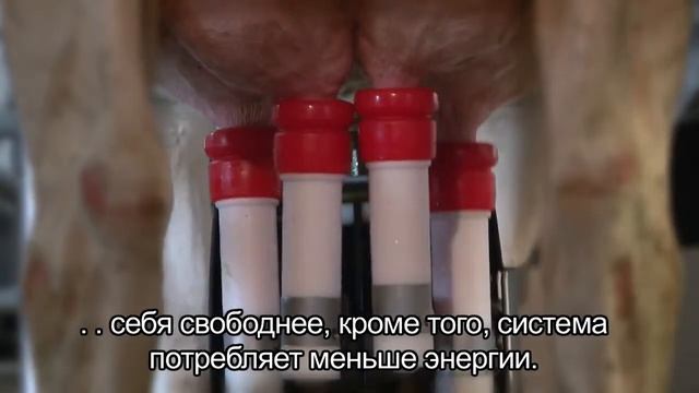 Lely Astronaut A4 Преимущество для фермера смотреть онлайн