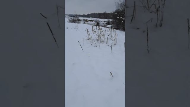 28 марта 2021 г.