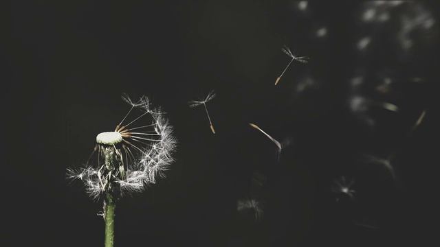 Сын Люцифера. (034) День 32. Клон. (Часть 1 из 3)