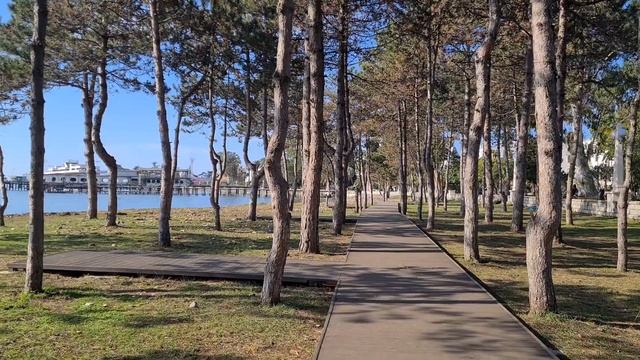 Прогулка по Сухуму в феврале 2024 года! смотреть онлайн