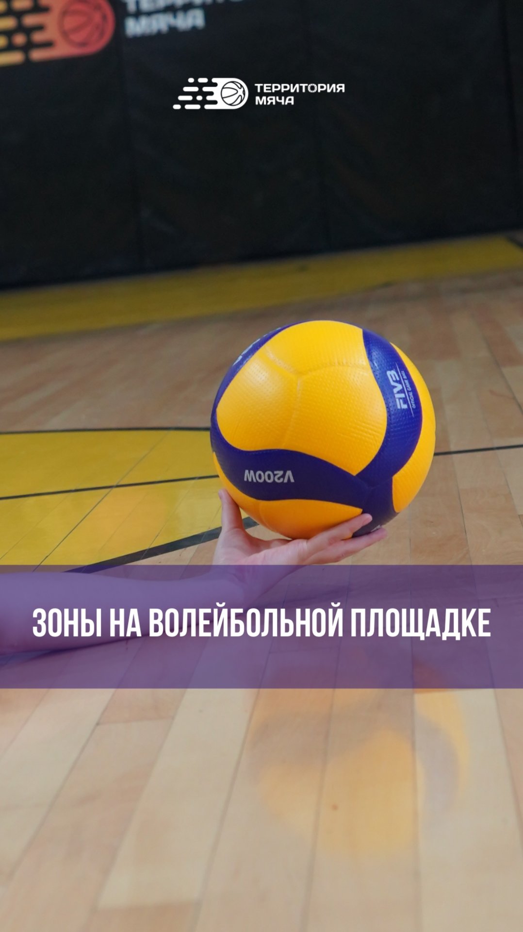 Зоны волейбольной площадки 🏐 смотреть онлайн