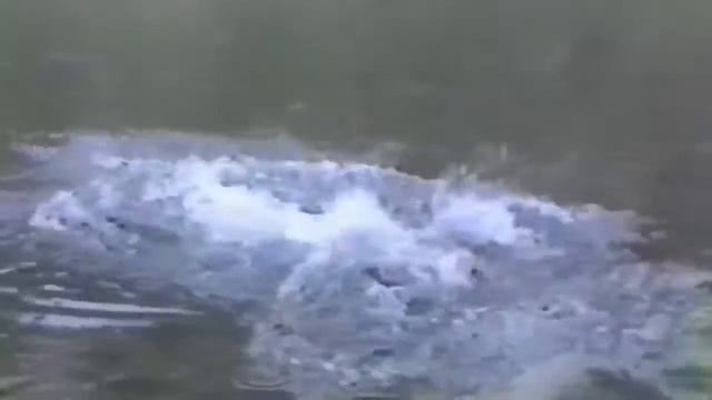 Ржач на рыбалке! Ну очень смешные приколы! смотреть онлайн