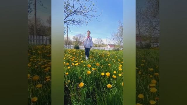 Всеукраїнський Фестиваль-огляд "Ватра". Рій "Сіроманці". Тема композиції: "Звитяга Нескорених". смотреть онлайн