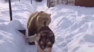 Прикол! Я своё отбоялся!