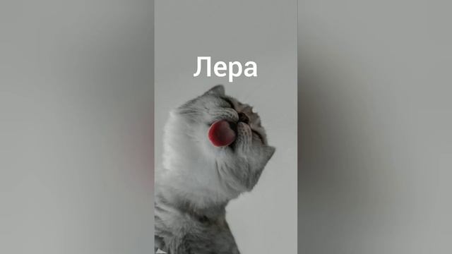 приколы по именам 4 часть смотреть онлайн