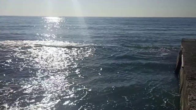 Хороших выходных 🌞🌊🌴🤝 смотреть онлайн