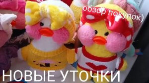 НОВЫЕ УТОЧКИ❤🌈 покупки 👛💰👐 одежда🌈