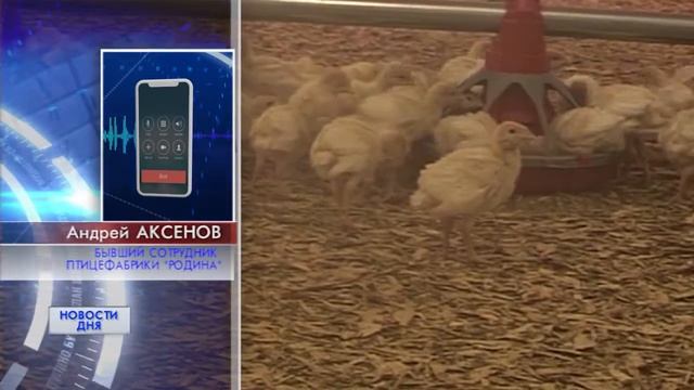 ЗАРПЛАТЫ НЕ БУДЕТ? смотреть онлайн