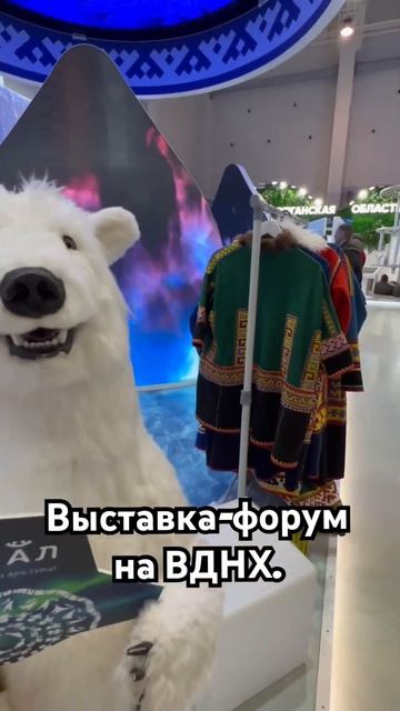 Выставка на ВДНХ #moscow #russia #rusland #выставкароссия #выставка #exhibition2024 #exhibitionVDNH смотреть онлайн