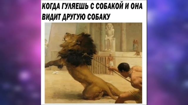 Лютые приколы || Далеко гляжу смотреть онлайн