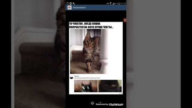 Лютые приколы я снимаю мемы в первый раз. смотреть онлайн