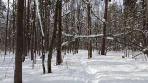 Таксистка–зечка подобрала на трассе замерзшего слепого старика… А через день его родня была в шоке…