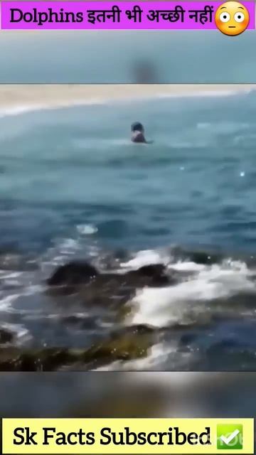 Cute Dolphins are not Really Cute😳#youtubeshorts #dolphins # #amazingfact #fact #shorts #viral смотреть онлайн