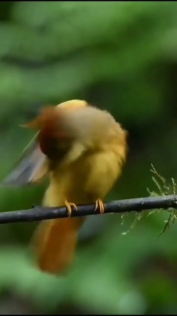 nature lover - beauty of nature смотреть онлайн