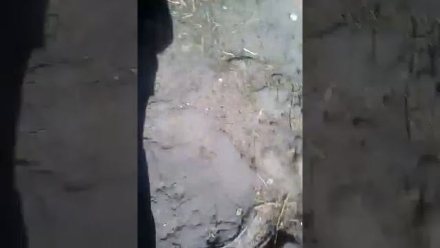 за нами охотится джефф убийца смотреть онлайн