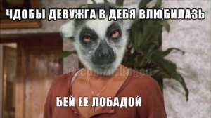 песня   Узбагойся