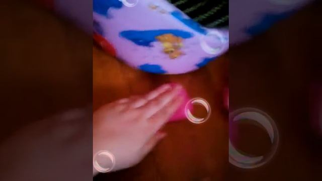 Мне подарили …очень прикольный подарок собаку!!!!!!!!!!!!!!! смотреть онлайн