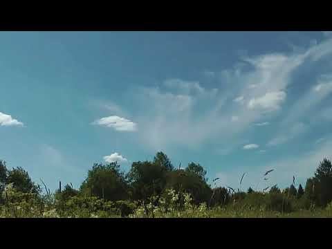 Лидолия Никитина - Разрешите подарить цветы. Семь шальных ветров. Читает Владислав Витковский смотреть онлайн