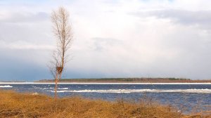 В Сургуте рекордно рано начался ледоход на Оби