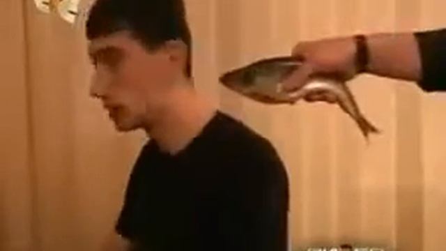 Веселое видео Студенческий юмор! Смех до слёз Прикольные футболки на BYSO RU смотреть онлайн