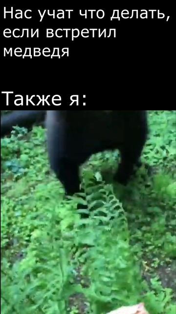 Медведь гонится, прикол, The bear is chasing, a joke смотреть онлайн
