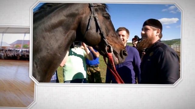 Рамзан Кадыров, проект "Команда" видео #1 смотреть онлайн