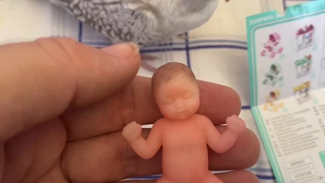My mini baby opening / review смотреть онлайн