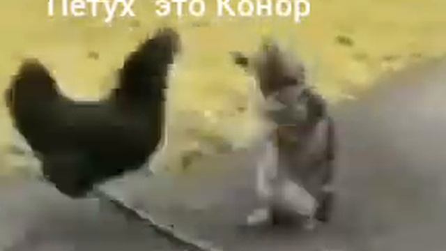 Петух это Конор смотреть онлайн