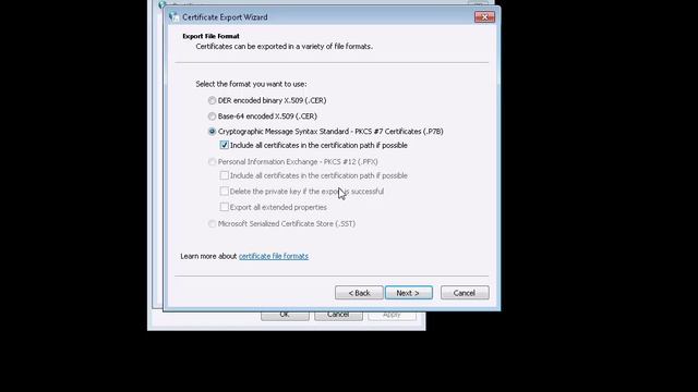 How to export a public certificate смотреть онлайн
