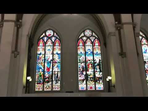 Лидолия Никитина - Разрешите подарить цветы. В Домском соборе. Читает Владислав Витковский смотреть онлайн