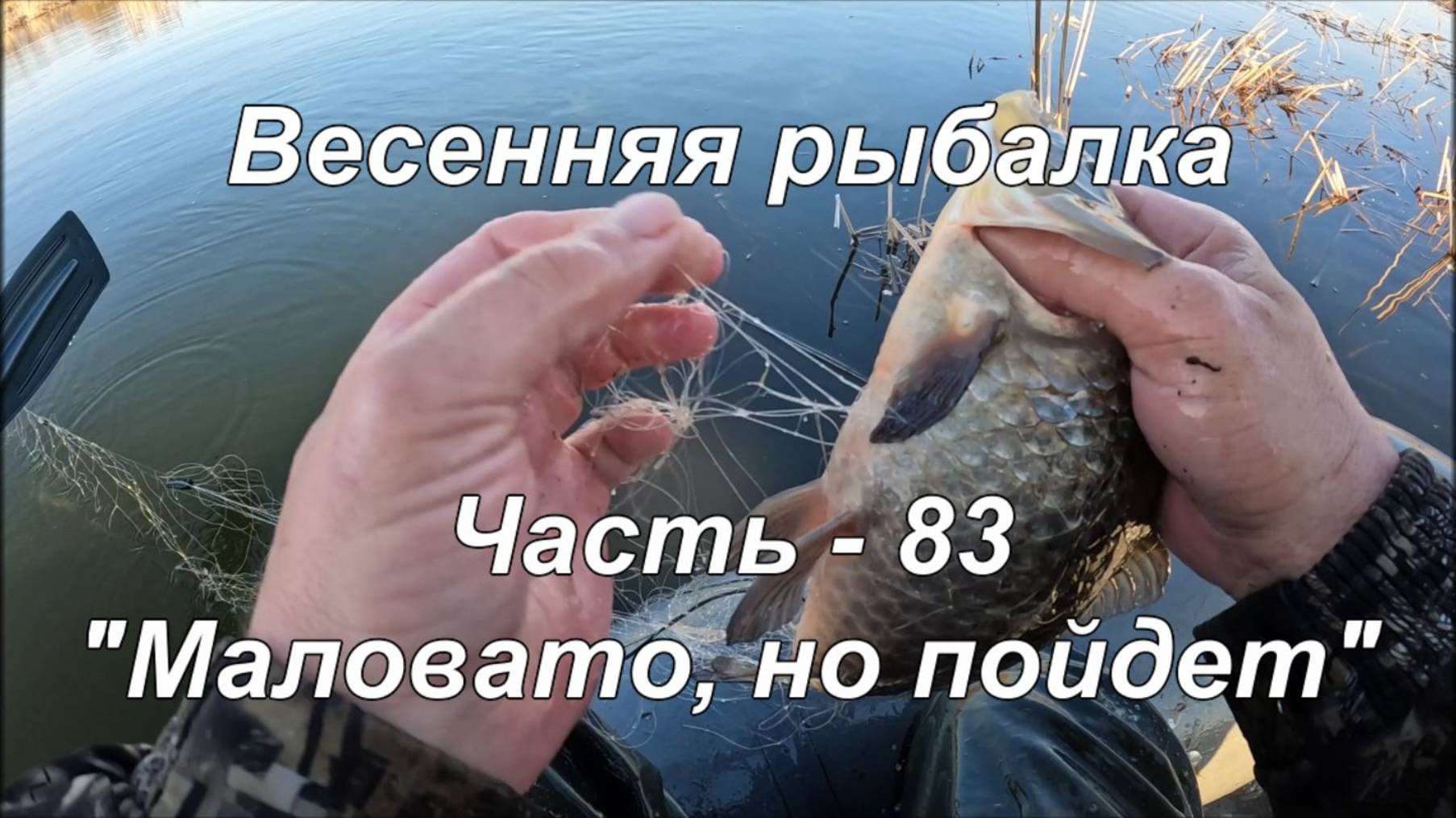 Весенняя рыбалка. Часть - 83. "Маловато но пойдет". смотреть онлайн